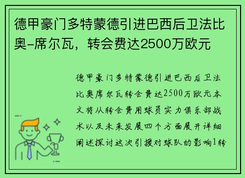 德甲豪门多特蒙德引进巴西后卫法比奥-席尔瓦，转会费达2500万欧元